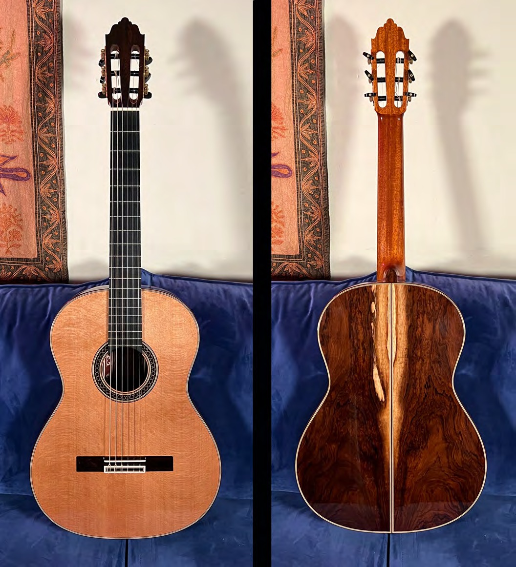 2019 David Daily guitar #553, front and back views